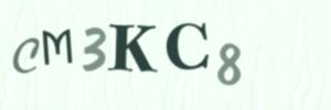 Please contact us form assistance if you are unable to view the CAPTCHA.