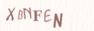 Please contact us form assistance if you are unable to view the CAPTCHA.