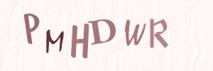 Please contact us form assistance if you are unable to view the CAPTCHA.