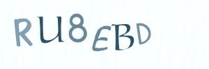 Please contact us form assistance if you are unable to view the CAPTCHA.