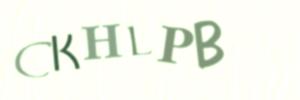 Please contact us form assistance if you are unable to view the CAPTCHA.