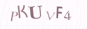 Please contact us form assistance if you are unable to view the CAPTCHA.