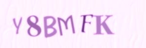 Please contact us form assistance if you are unable to view the CAPTCHA.