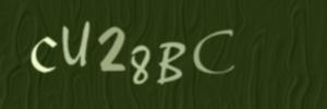 Please contact us form assistance if you are unable to view the CAPTCHA.
