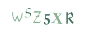 Please contact us form assistance if you are unable to view the CAPTCHA.