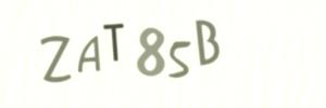 Please contact us form assistance if you are unable to view the CAPTCHA.