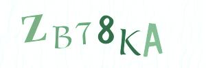 Please contact us form assistance if you are unable to view the CAPTCHA.