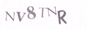 Please contact us form assistance if you are unable to view the CAPTCHA.