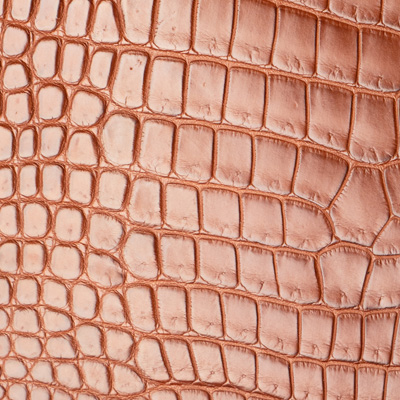 COGNAC ALLIGATOR (EXOTICS ONLY)